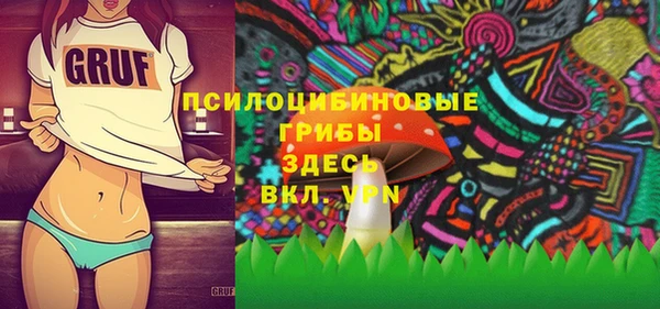 прущие крисы Вяземский